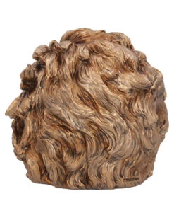 Albert Einstein Totenschädel 21cm -Karneval-Universe albert einstein totenkopf albert einstein totenschaedel albert einstein skull 54562 04