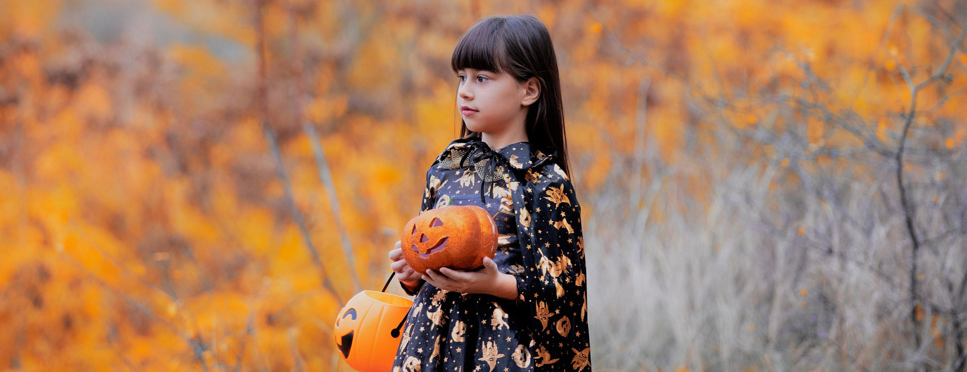 Karneval-Universe 3 Karneval-Universe -Karneval-Universe halloween 7551188 1920