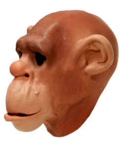 Affenmaske Aus Schaumlatex -Karneval-Universe schimpansen schaumlatex maske affenmaske tiermasken bild4 15361